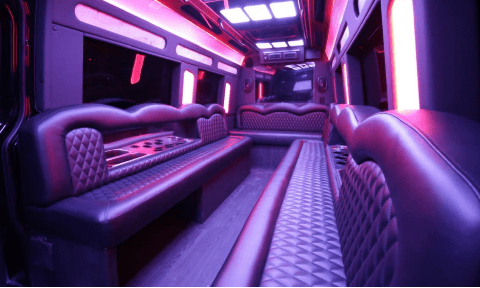 Mesquite 14 Passenger Sprinter Bus Interior